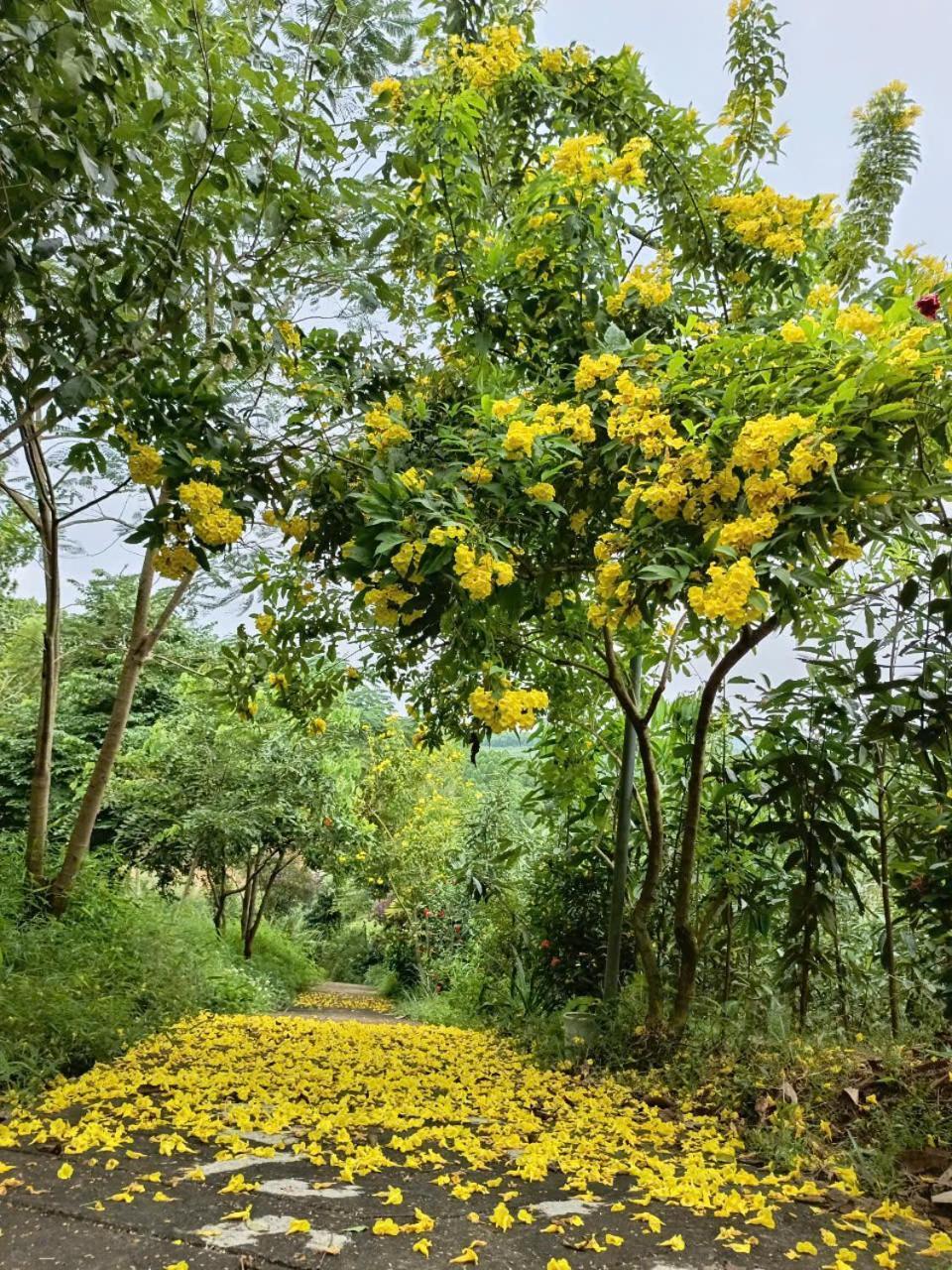 Yen BaiMountain Breath Retreat - Am Nui Tho公寓 外观 照片